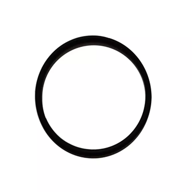 Fuel Filter Gasket