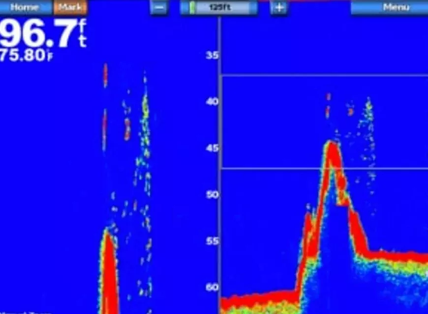 Garmin GSD 24 Advanced Sonar Module