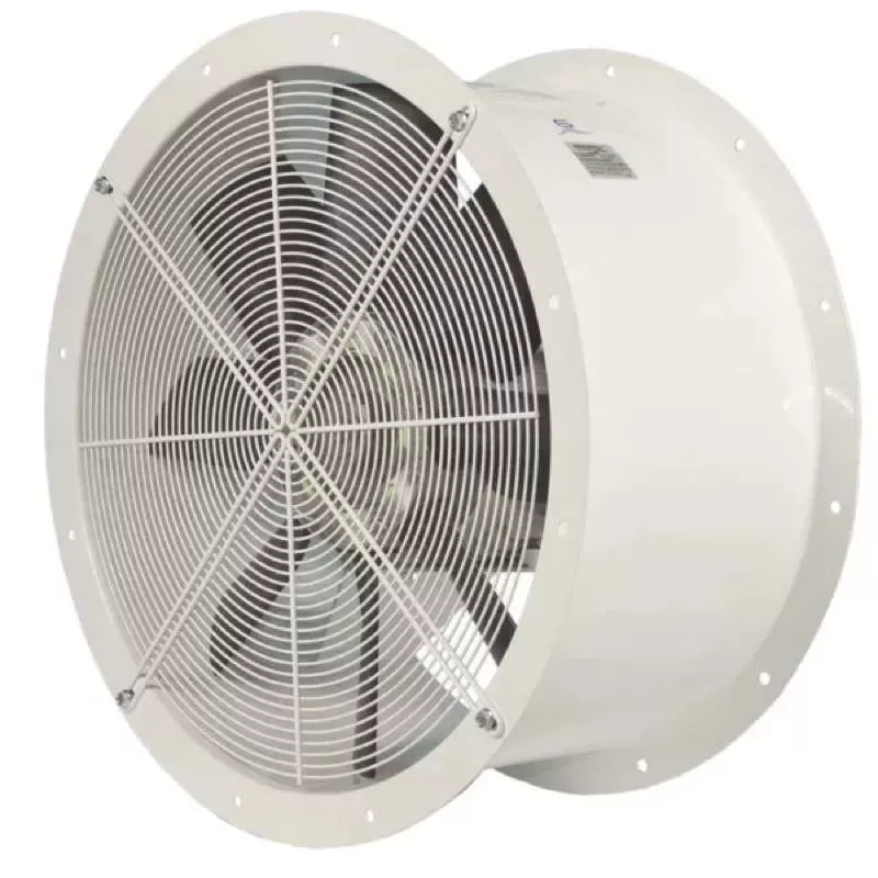 Gianneschi Blower ELL 250/2 24V CC 0.30KW "A"