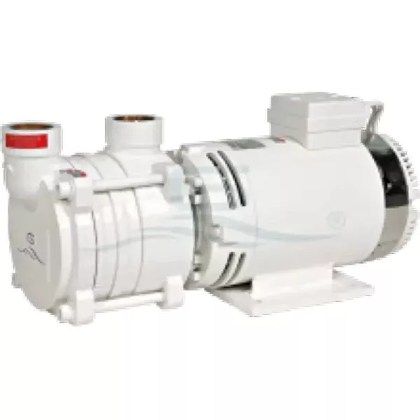 Gianneschi Liquid Ring Pump ACB 331/1 B 24 Volt 0.9KW 70-150L
