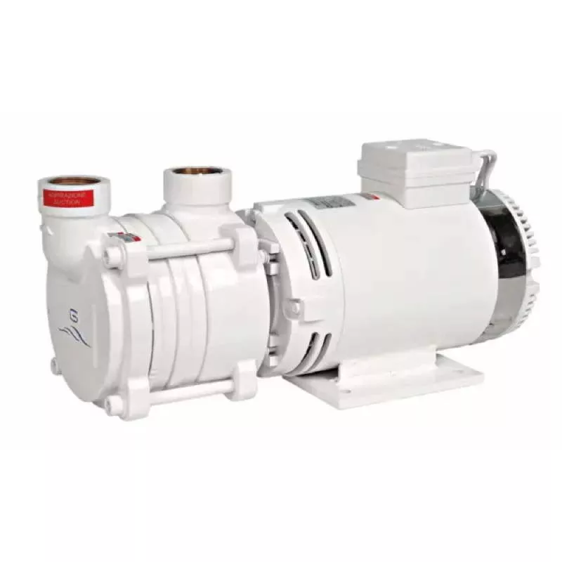 Gianneschi Self-Priming Liquid Ring Pump ACB 1500 Watts 400V 50Hz T