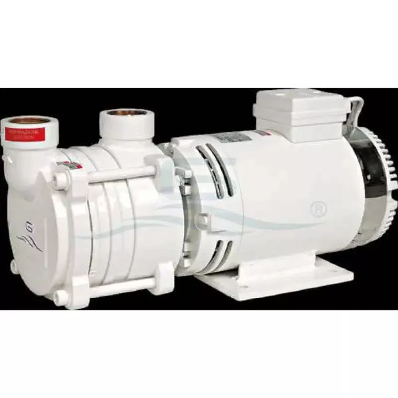 Gianneschi Self-Priming Liquid Ring Pump ACB 4000 Watts 531/A 230/400V