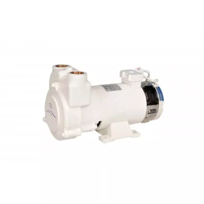 Gianneschi Self-Priming Liquid Ring Pump CP 550 Watts 24V
