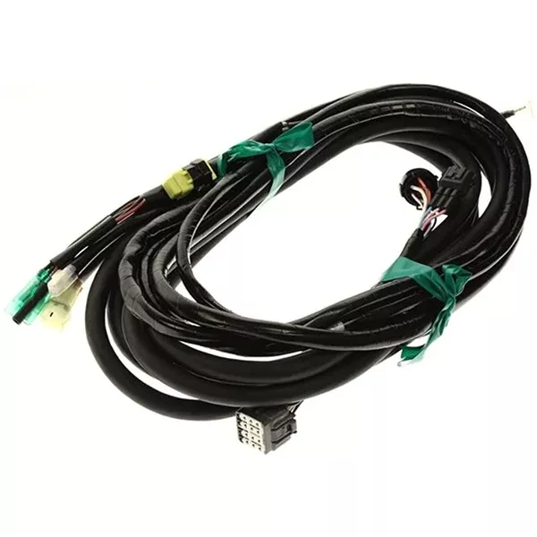 MAIN HARNESS 21'