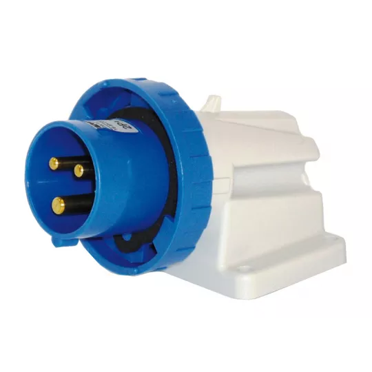 Plug 2P+T 220V. 16A IP67