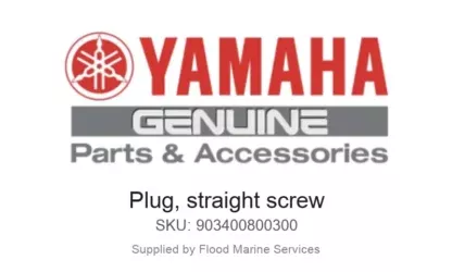 PLUG, STRAIGHT SCREW