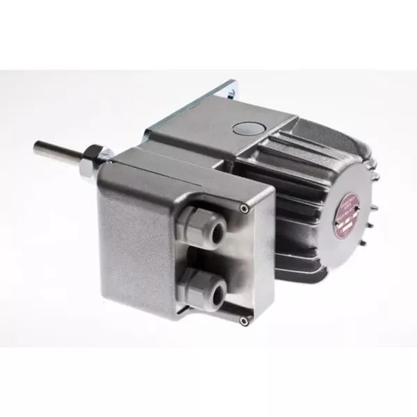 Speich Motor SDCS2 24V D50 075°