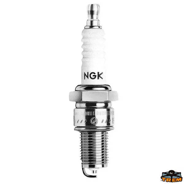 Trem E1006900 - Ngk Spark Plug Dpr6Eb-9